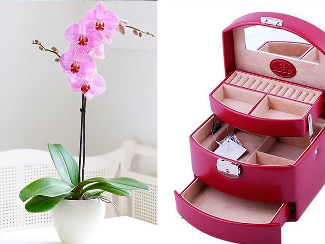 An original gift for the New Year: mom, woman