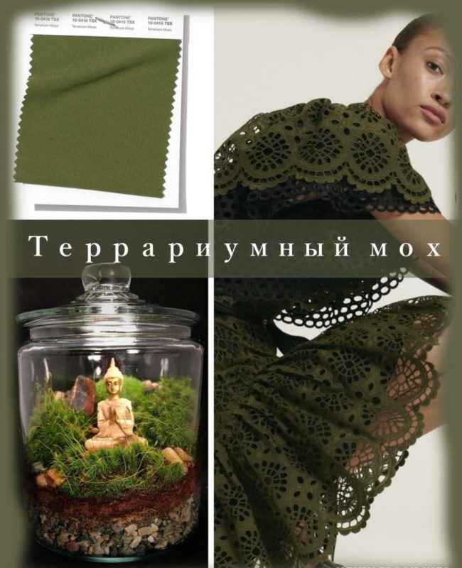 Trendy Color Terrarium Moss Trendy Color Terrarium Moss