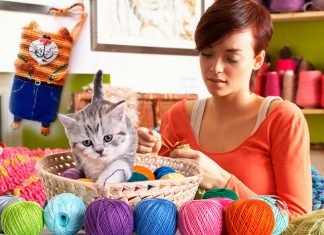 Photos and videos how to crochet a phone case