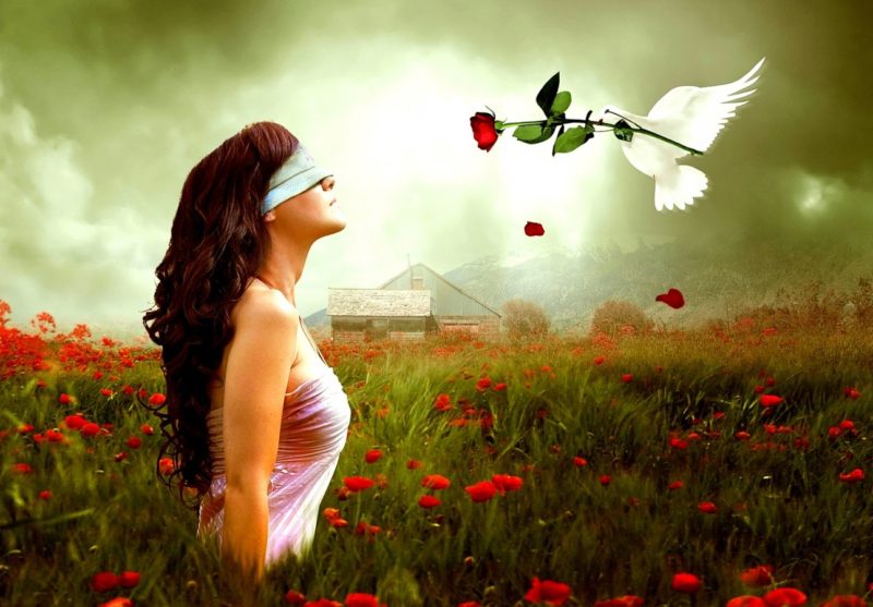 Behavior after a declaration of love Waiting for a response to a declaration of love