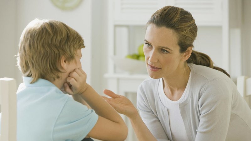 The role of persuasion in parenting The role of persuasion in parenting