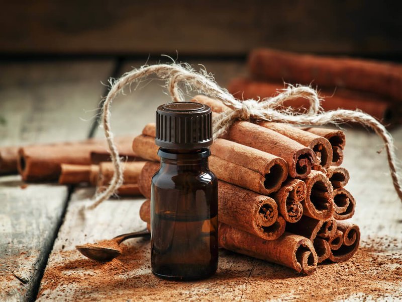 Cinnamon sticks and essential oil