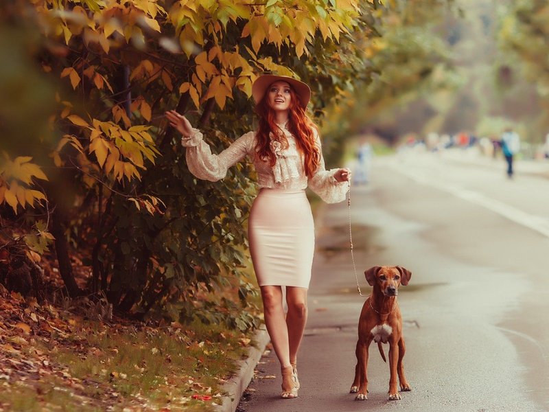 Privacy walks Privacy walks