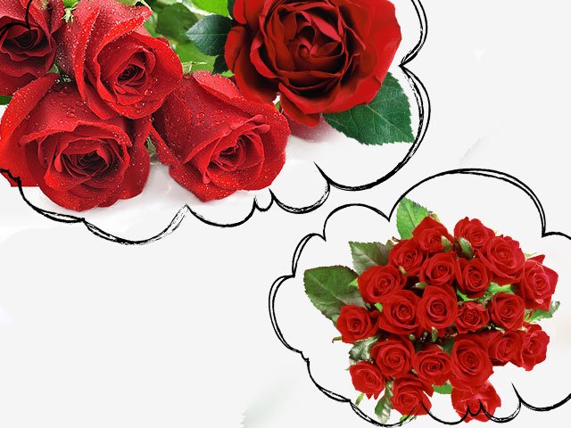 Dream about roses Dream about roses