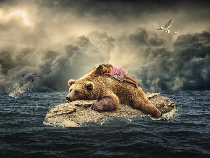 Dream about bears Dream about bears