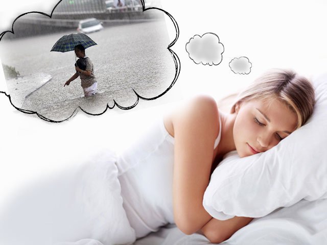 What the flood dreams about What the flood dreams about