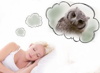 Why owl dream
