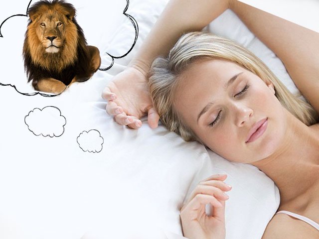 Why does a woman dream of a lion?