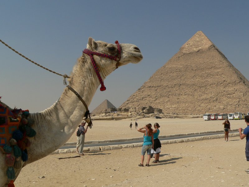 Landscape in a dream about a camel Landscape in a dream about a camel