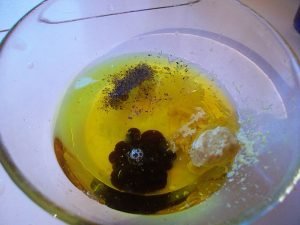 Salade de pissenlit et d'ortie