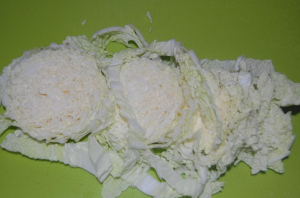 Vegetable salad with celery, cucumbers and Beijing cabbage