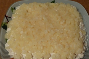 Creole salad with pineapple and chicken