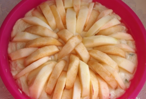 Apple pie with cottage cheese and candied fruit