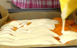 Apricot pie with curd filling