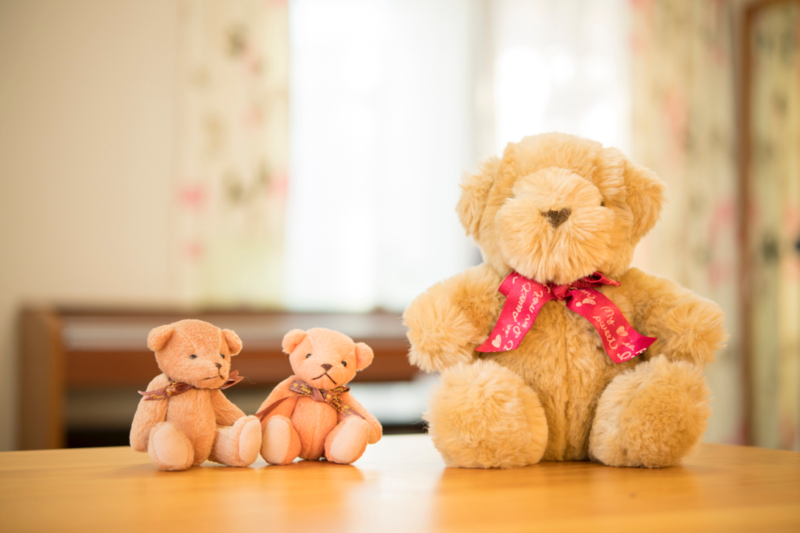 A plot to attract pregnancy