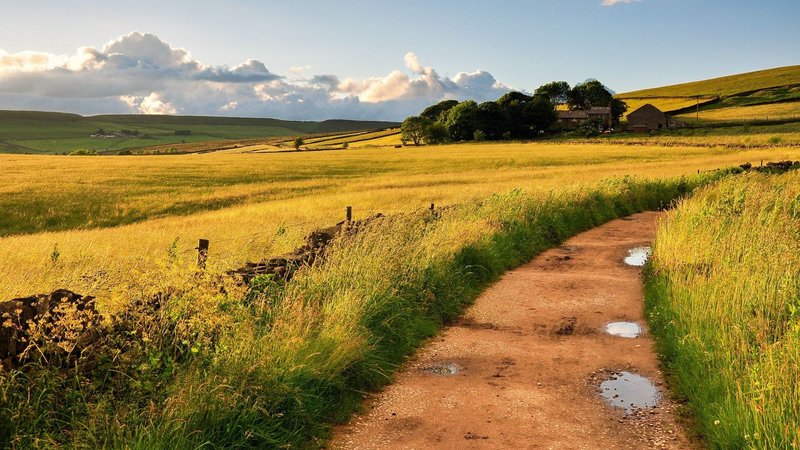 Conspiracies and prayers from bedbugs in the apartment