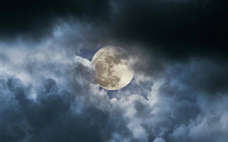 Conspiracy of how to forget a loved one