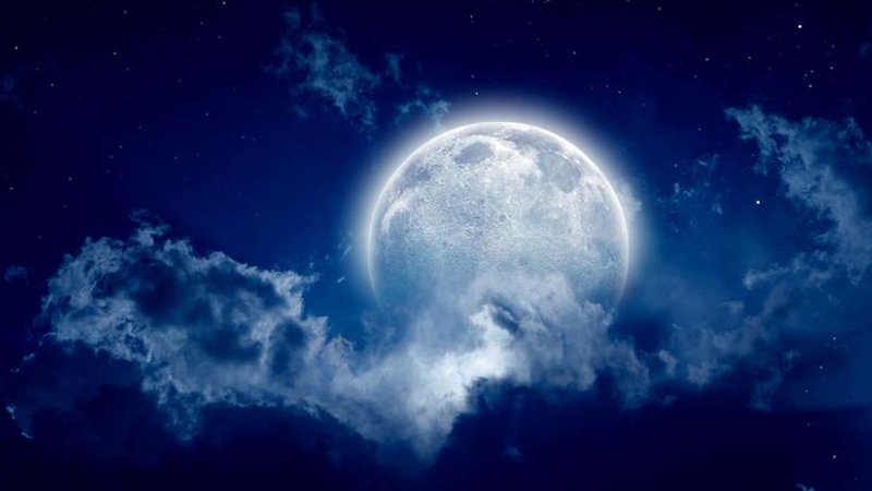 Conspiracy for the love of a girl in the distance