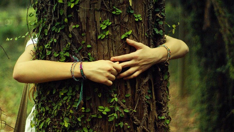 Slavic conspiracies and spells