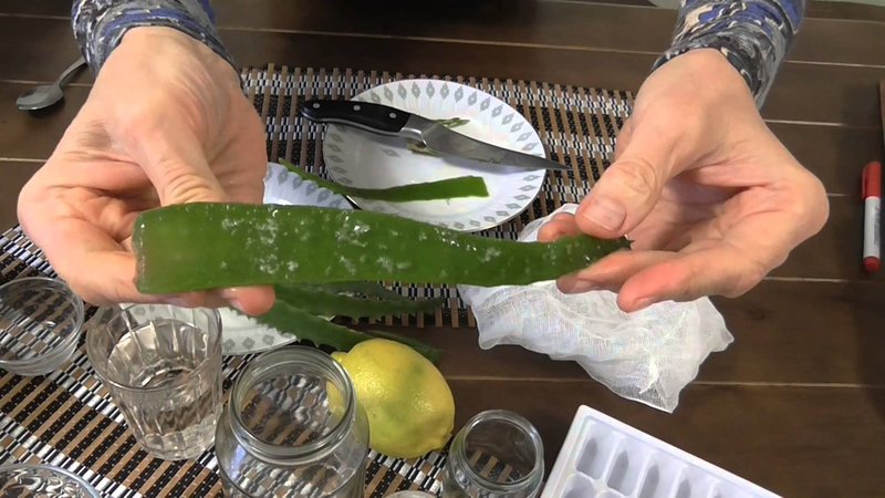 Aloe Hair Mask Recipes