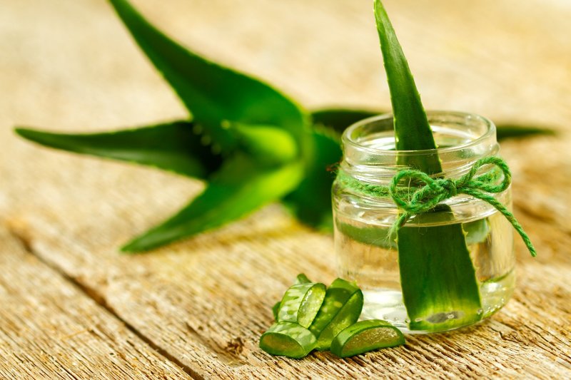 Aloe juice for hair restoration