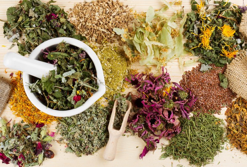 Medicinal herbs for making dandruff hair masks