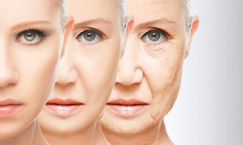 The result after biorevitalization for medicinal purposes The result after biorevitalization for medicinal purposes