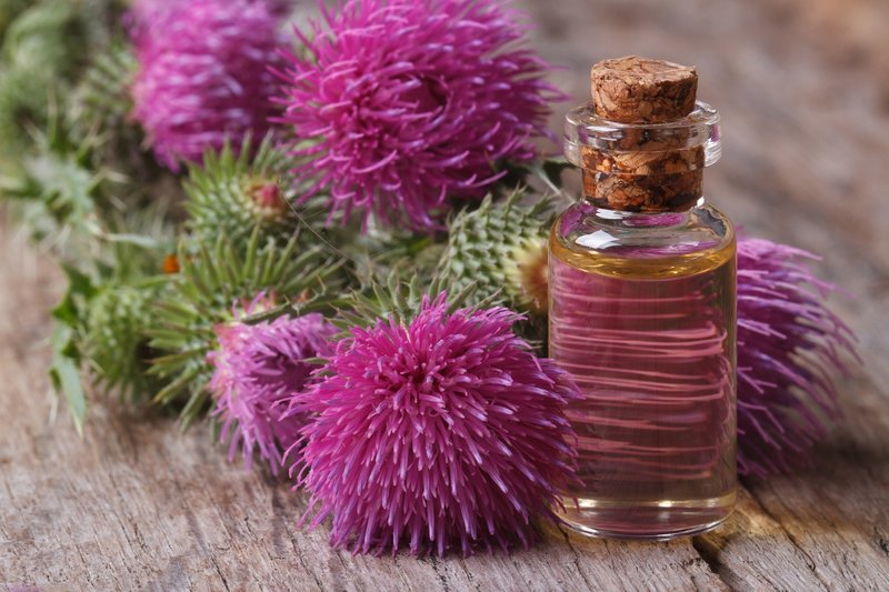 Burdock oil and burdock