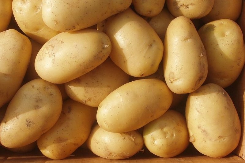 Potatoes Potatoes